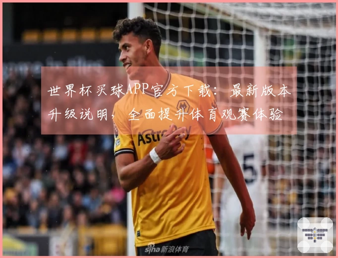 世界杯买球APP官方下载：最新版本升级说明，全面提升体育观赛体验
