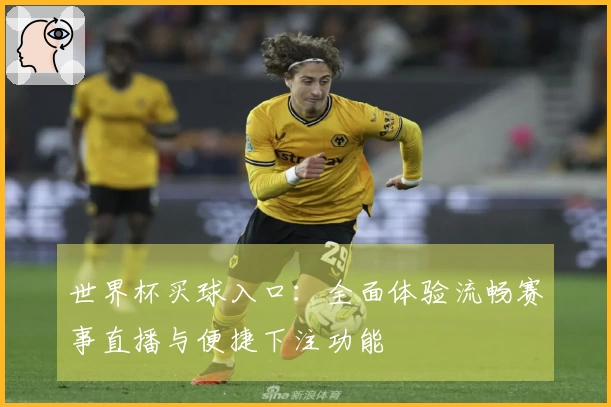 世界杯买球入口：全面体验流畅赛事直播与便捷下注功能
