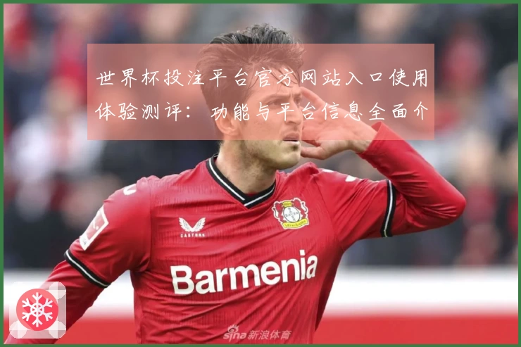 世界杯投注平台官方网站入口使用体验测评：功能与平台信息全面介绍