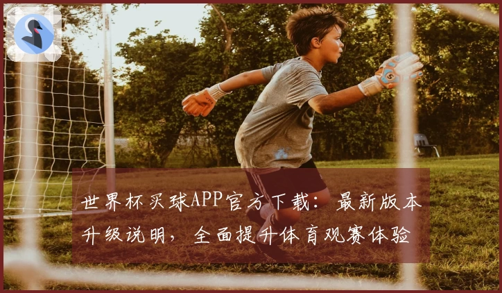 世界杯买球APP官方下载：最新版本升级说明，全面提升体育观赛体验